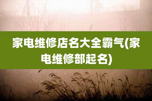 家电维修店名大全霸气(家电维修部起名)