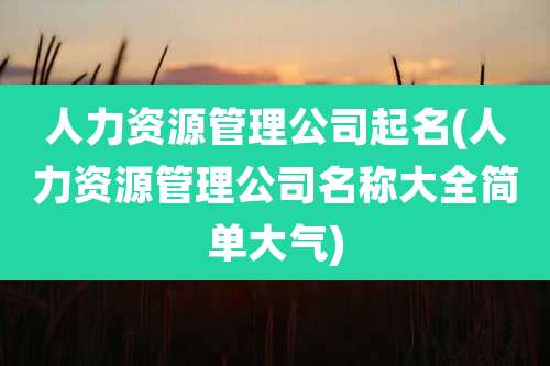 人力资源管理公司起名(人力资源管理公司名称大全简单大气)