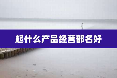 起什么产品经营部名好