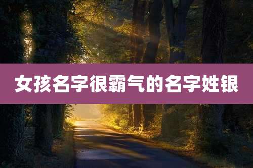 女孩名字很霸气的名字姓银