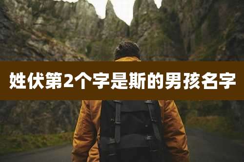 姓伏第2个字是斯的男孩名字