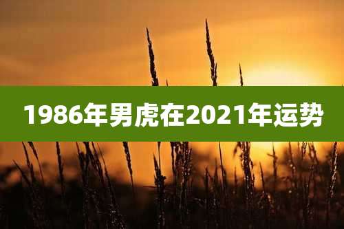 1986年男虎在2021年运势