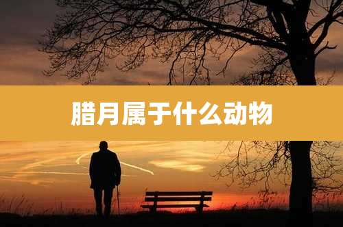 腊月属于什么动物