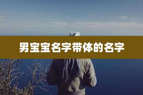 男宝宝名字带体的名字
