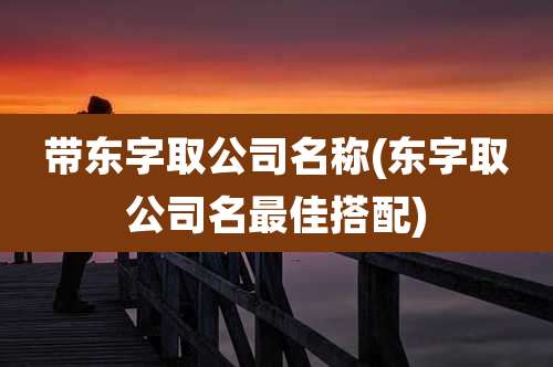 带东字取公司名称(东字取公司名最佳搭配)