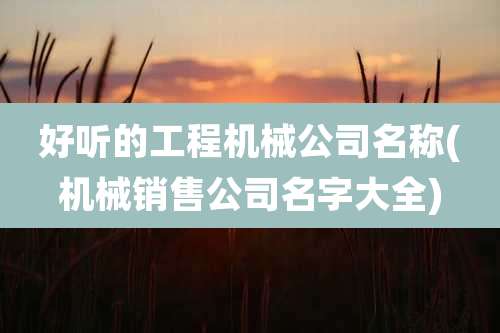 好听的工程机械公司名称(机械销售公司名字大全)
