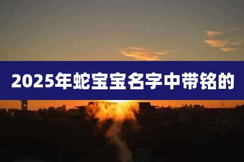 2025年蛇宝宝名字中带铭的