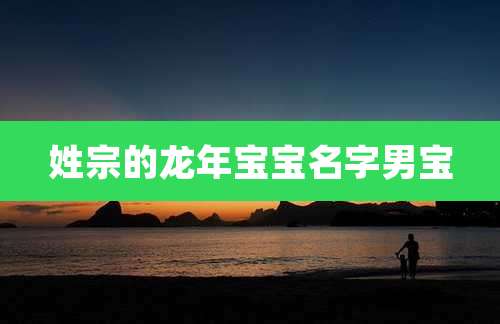 姓宗的龙年宝宝名字男宝