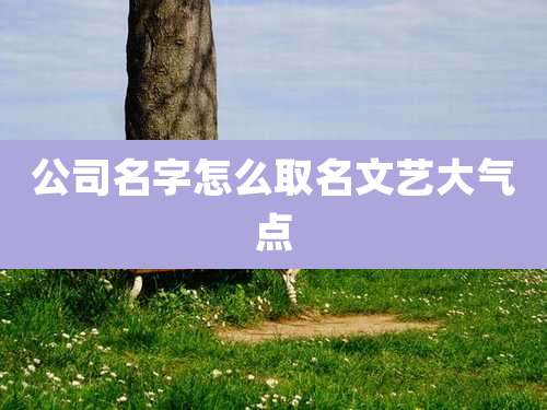 公司名字怎么取名文艺大气点