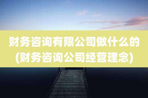 财务咨询有限公司做什么的(财务咨询公司经营理念)