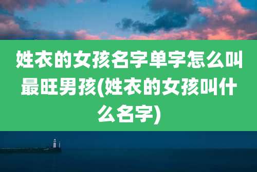 姓衣的女孩名字单字怎么叫最旺男孩(姓衣的女孩叫什么名字)