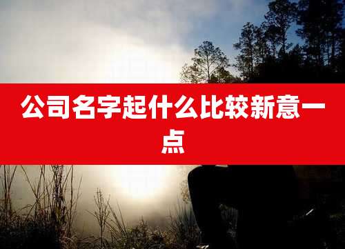 公司名字起什么比较新意一点
