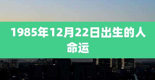 1985年12月22日出生的人命运