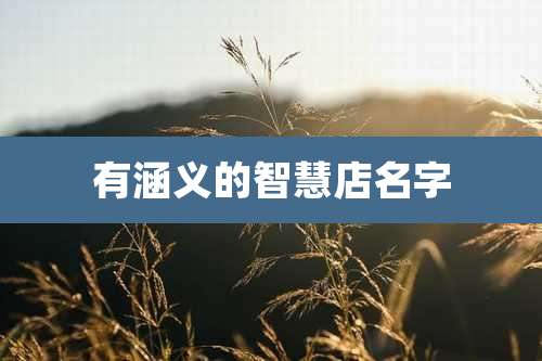有涵义的智慧店名字