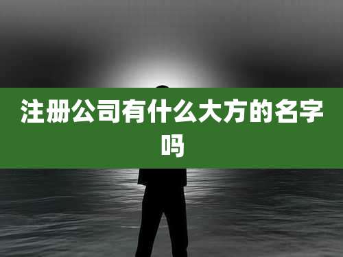 注册公司有什么大方的名字吗