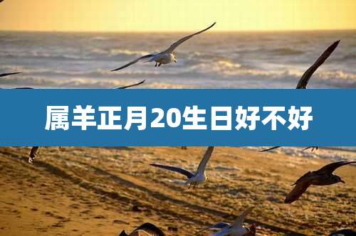 属羊正月20生日好不好