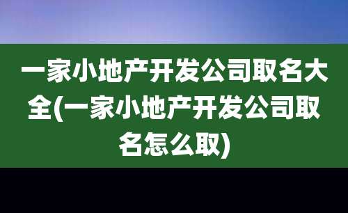 一家小地产开发公司取名大全(一家小地产开发公司取名怎么取)