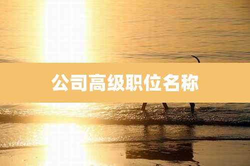 公司高级职位名称
