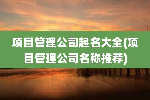 项目管理公司起名大全(项目管理公司名称推荐)