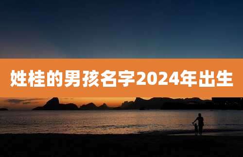 姓桂的男孩名字2024年出生