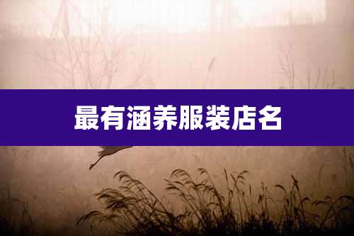 最有涵养服装店名