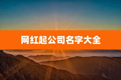 网红起公司名字大全