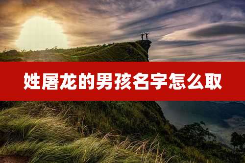 姓屠龙的男孩名字怎么取