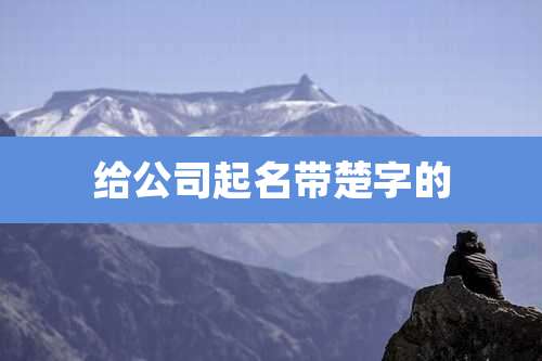给公司起名带楚字的