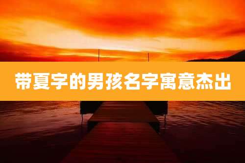 带夏字的男孩名字寓意杰出