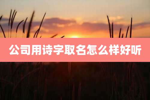 公司用诗字取名怎么样好听