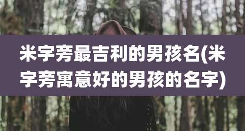 米字旁最吉利的男孩名(米字旁寓意好的男孩的名字)