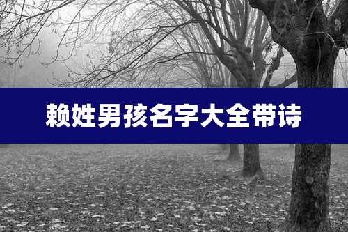 赖姓男孩名字大全带诗