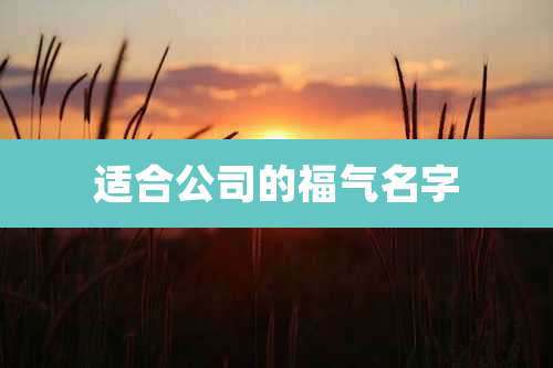 适合公司的福气名字