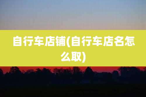 自行车店铺(自行车店名怎么取)