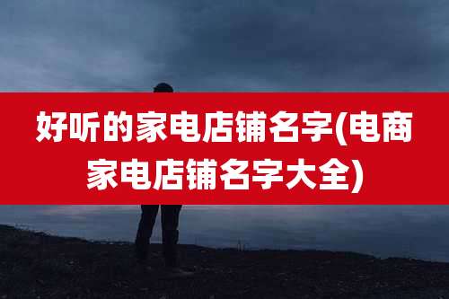 好听的家电店铺名字(电商家电店铺名字大全)