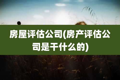 房屋评估公司(房产评估公司是干什么的)