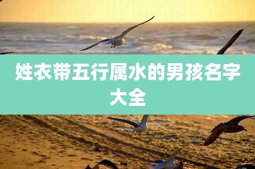 姓衣带五行属水的男孩名字大全