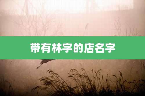 带有林字的店名字