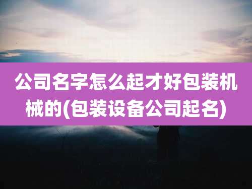 公司名字怎么起才好包装机械的(包装设备公司起名)