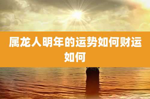 属龙人明年的运势如何财运如何