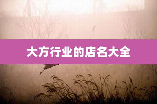大方行业的店名大全