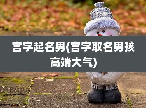 宫字起名男(宫字取名男孩高端大气)