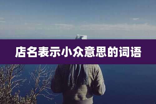 店名表示小众意思的词语