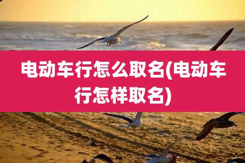 电动车行怎么取名(电动车行怎样取名)