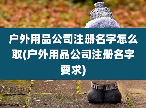 户外用品公司注册名字怎么取(户外用品公司注册名字要求)