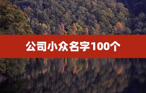 公司小众名字100个