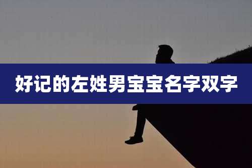 好记的左姓男宝宝名字双字