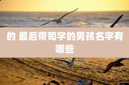 的 最后带司字的男孩名字有哪些