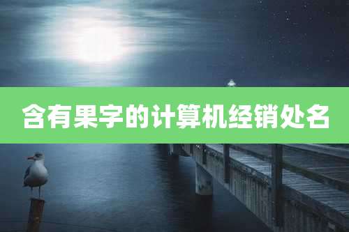 含有果字的计算机经销处名