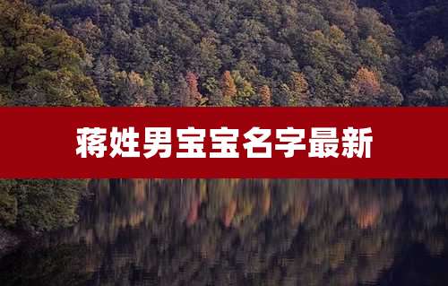 蒋姓男宝宝名字最新